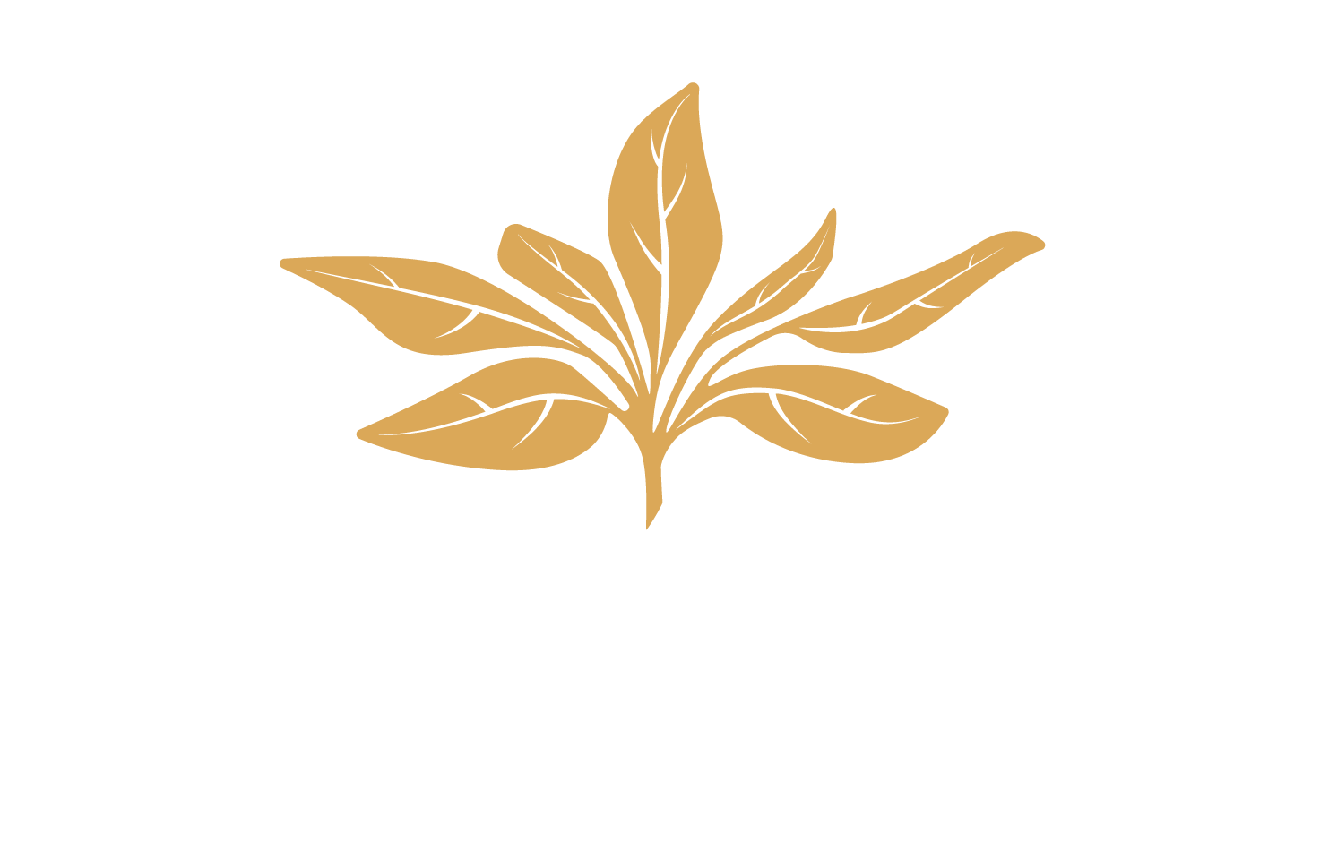 Unfazed Queen Logo